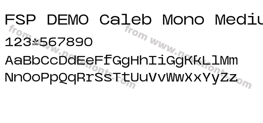 FSP DEMO Caleb Mono Medium RegularPreview