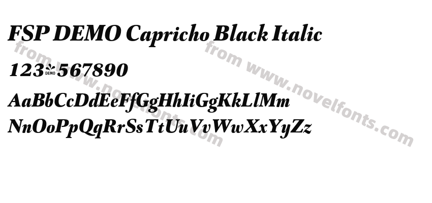 FSP DEMO Capricho Black ItalicPreview