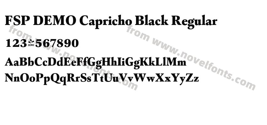 FSP DEMO Capricho Black RegularPreview