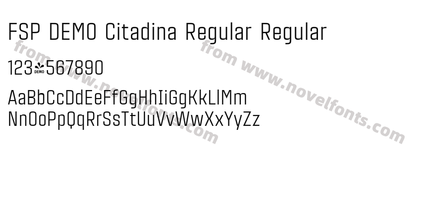 FSP DEMO Citadina Regular RegularPreview
