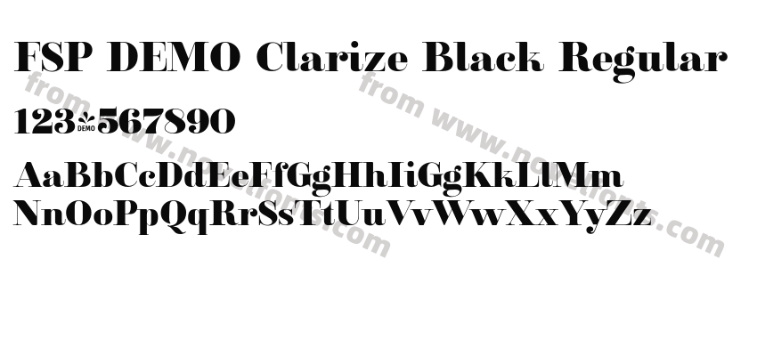 FSP DEMO Clarize Black RegularPreview