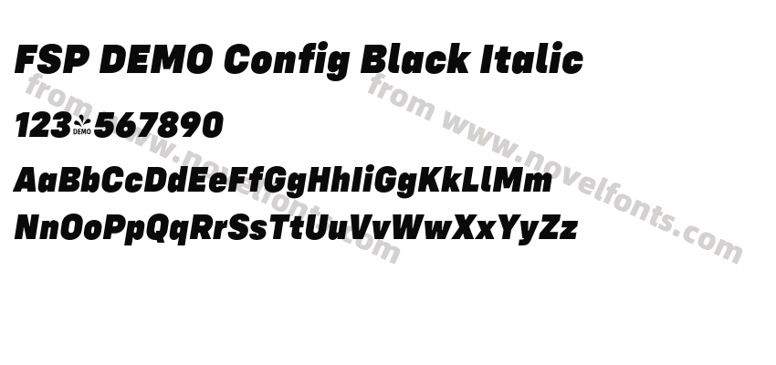 FSP DEMO Config Black ItalicPreview
