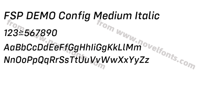 FSP DEMO Config Medium ItalicPreview