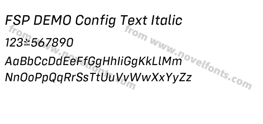 FSP DEMO Config Text ItalicPreview