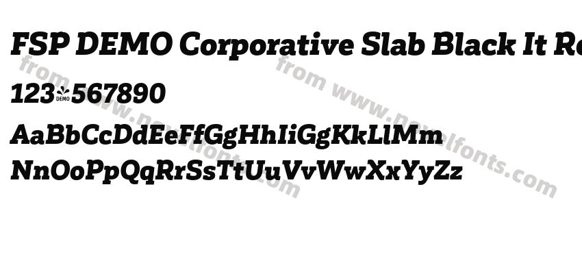 FSP DEMO Corporative Slab Black It RegularPreview