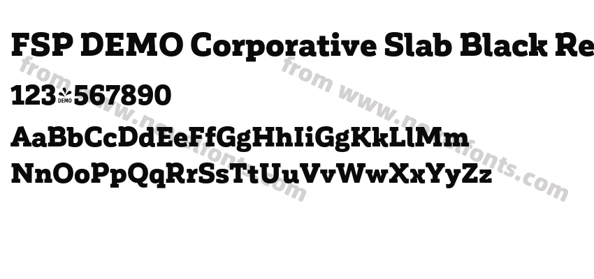 FSP DEMO Corporative Slab Black RegularPreview