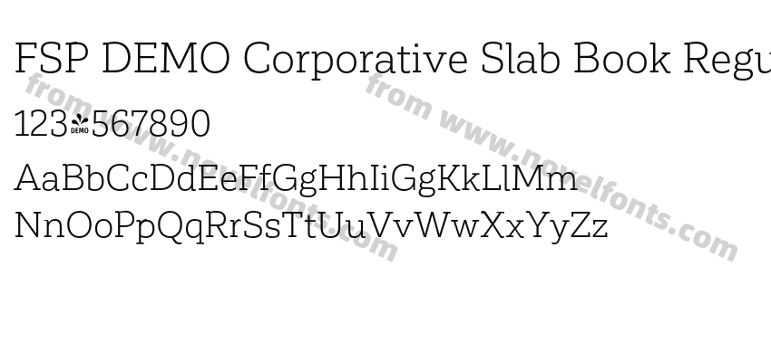 FSP DEMO Corporative Slab Book RegularPreview