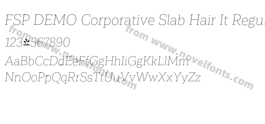 FSP DEMO Corporative Slab Hair It RegularPreview