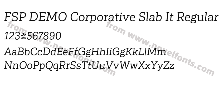 FSP DEMO Corporative Slab It RegularPreview