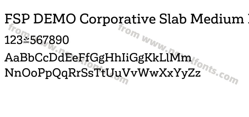 FSP DEMO Corporative Slab Medium RegularPreview