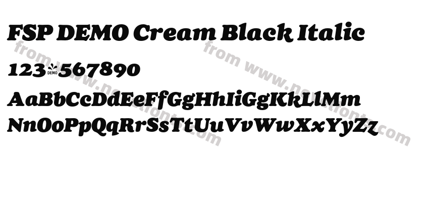 FSP DEMO Cream Black ItalicPreview