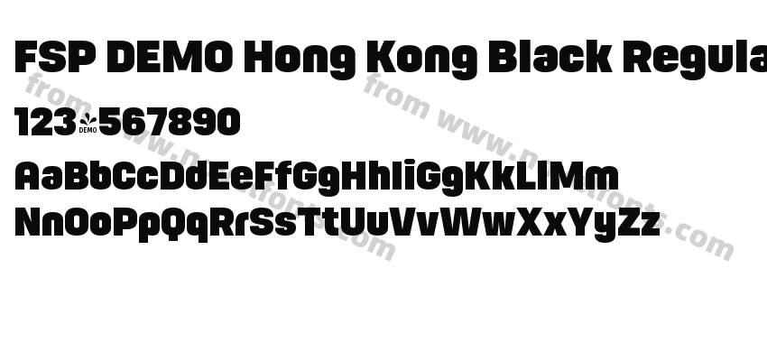 FSP DEMO Hong Kong Black RegularPreview
