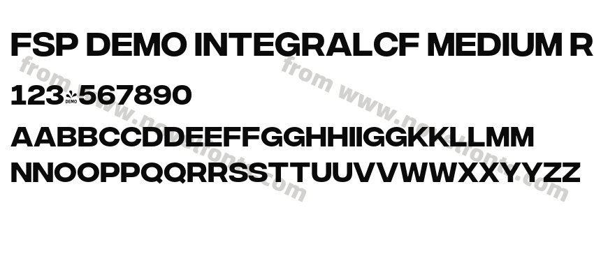 FSP DEMO IntegralCF Medium RegularPreview