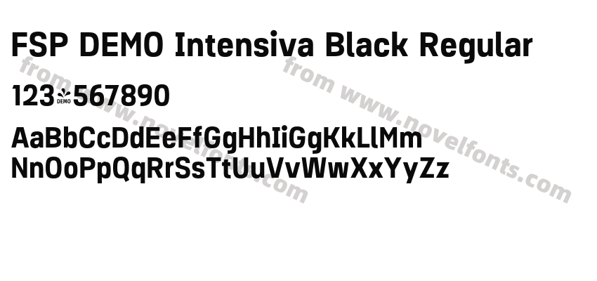 FSP DEMO Intensiva Black RegularPreview
