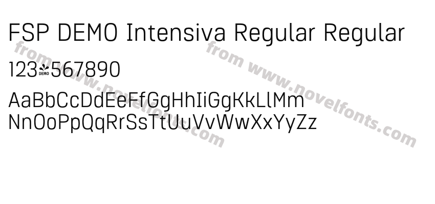 FSP DEMO Intensiva Regular RegularPreview