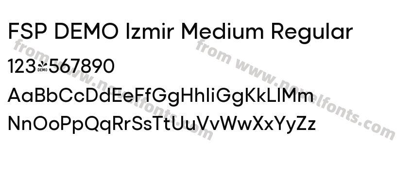 FSP DEMO Izmir Medium RegularPreview