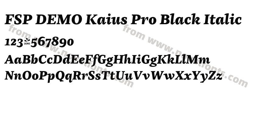 FSP DEMO Kaius Pro Black ItalicPreview