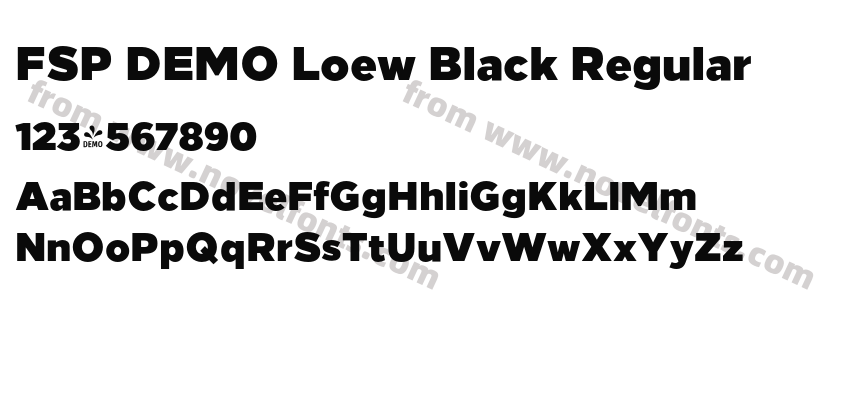 FSP DEMO Loew Black RegularPreview