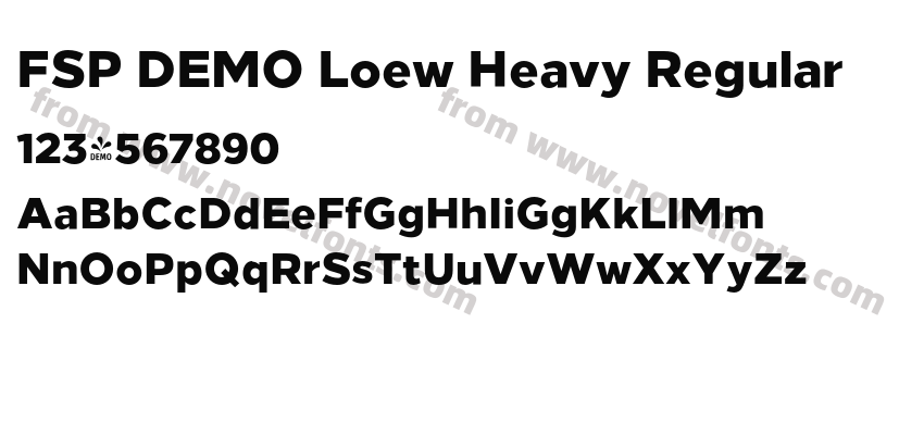FSP DEMO Loew Heavy RegularPreview