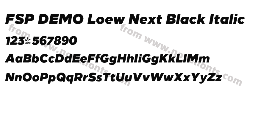 FSP DEMO Loew Next Black ItalicPreview