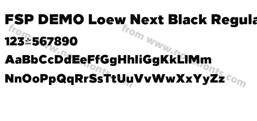 FSP DEMO Loew Next Black RegularPreview