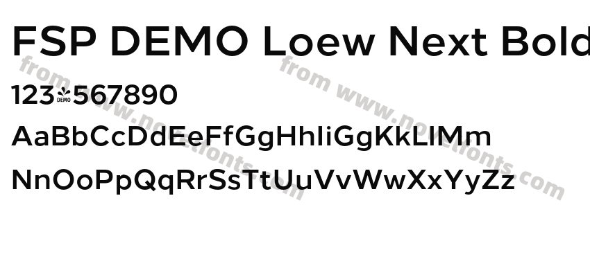 FSP DEMO Loew Next BoldPreview