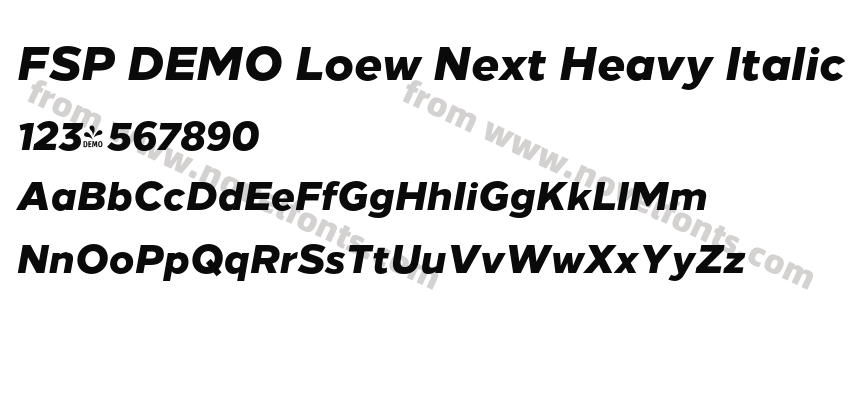 FSP DEMO Loew Next Heavy ItalicPreview