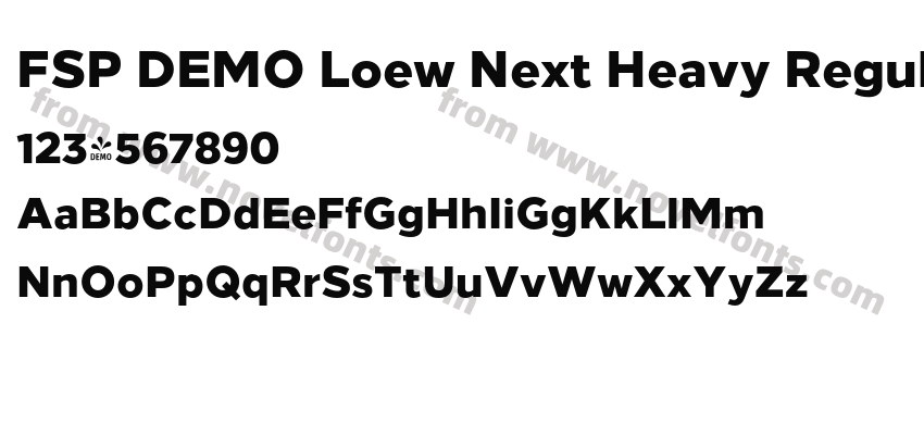 FSP DEMO Loew Next Heavy RegularPreview
