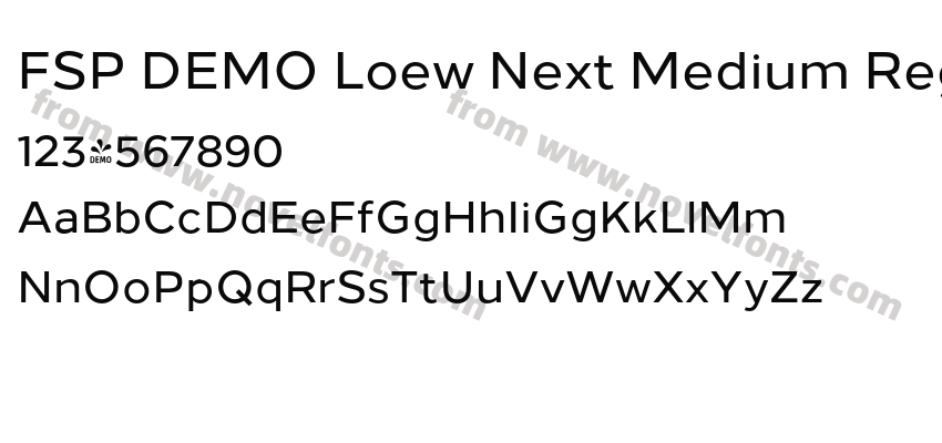 FSP DEMO Loew Next Medium RegularPreview
