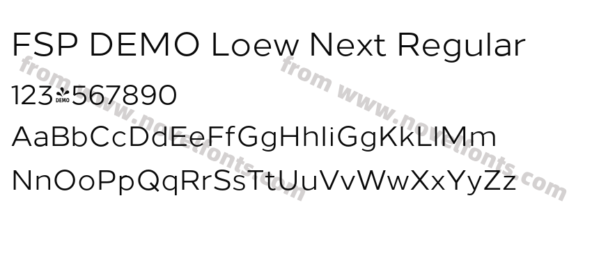 FSP DEMO Loew Next RegularPreview