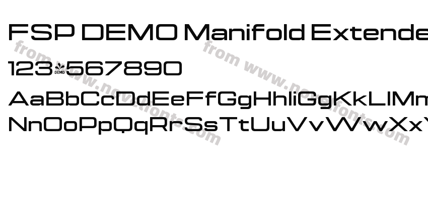 FSP DEMO Manifold ExtendedCF BoldPreview