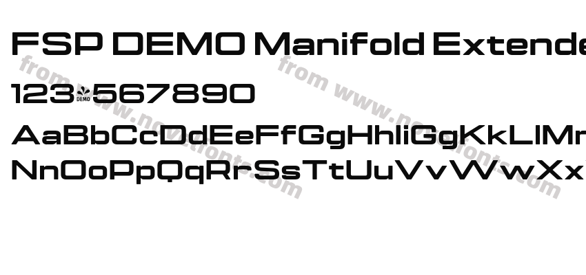 FSP DEMO Manifold ExtendedCF Heavy RegularPreview