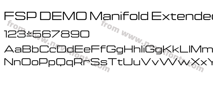 FSP DEMO Manifold ExtendedCF Medium RegularPreview