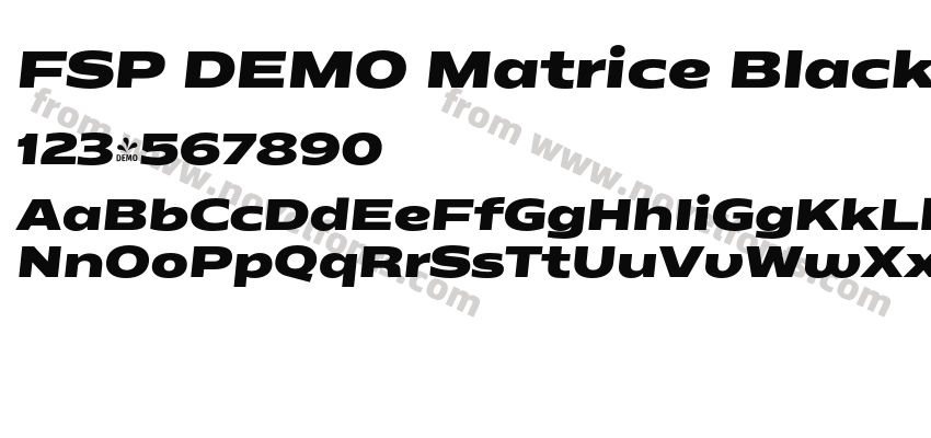 FSP DEMO Matrice Black Bold ItalicPreview