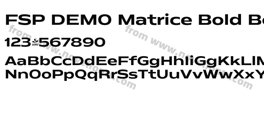 FSP DEMO Matrice Bold BoldPreview