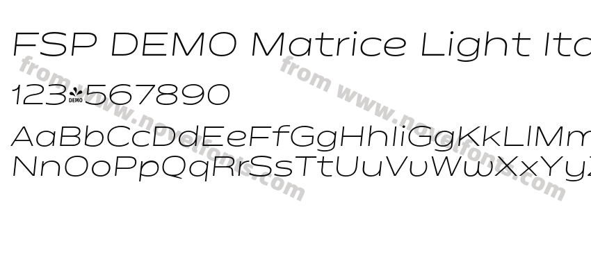FSP DEMO Matrice Light ItalicPreview