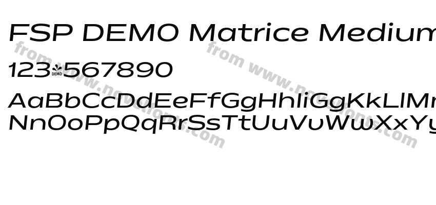 FSP DEMO Matrice Medium ItalicPreview