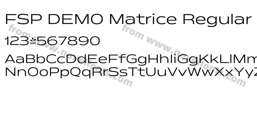 FSP DEMO Matrice Regular RegularPreview