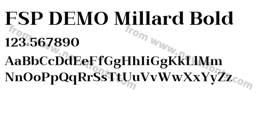 FSP DEMO Millard BoldPreview