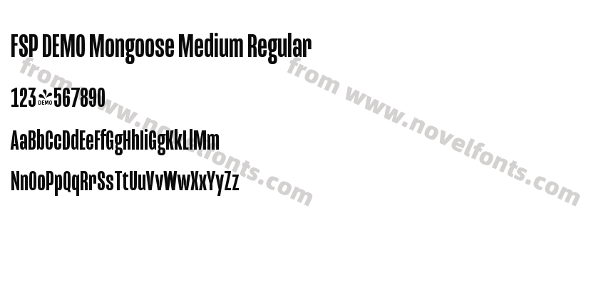 FSP DEMO Mongoose Medium RegularPreview