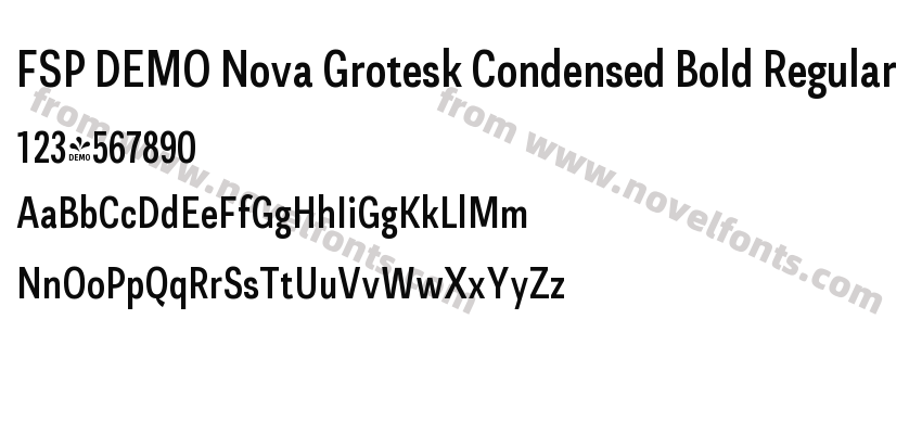 FSP DEMO Nova Grotesk Condensed Bold RegularPreview