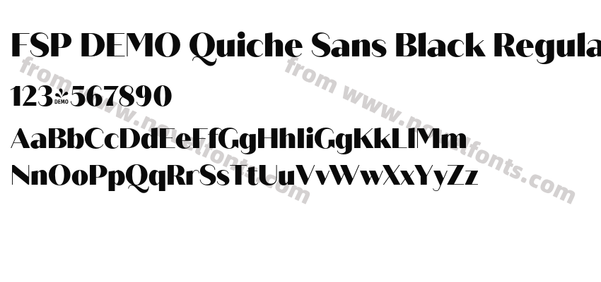FSP DEMO Quiche Sans Black RegularPreview