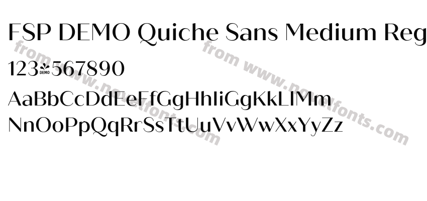FSP DEMO Quiche Sans Medium RegularPreview