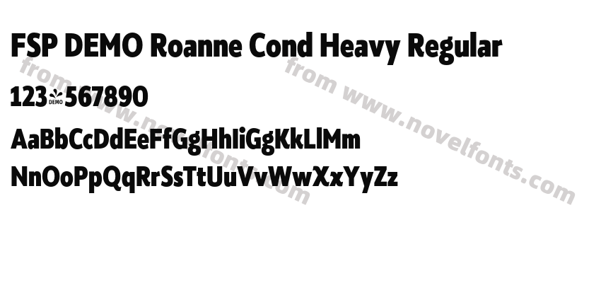 FSP DEMO Roanne Cond Heavy RegularPreview