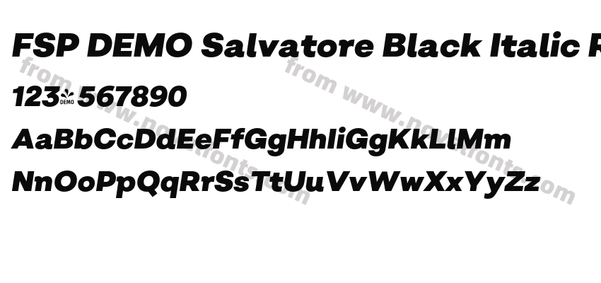 FSP DEMO Salvatore Black Italic RegularPreview