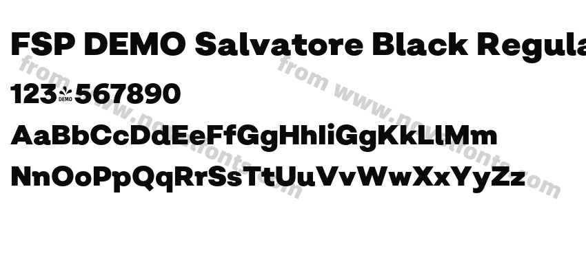 FSP DEMO Salvatore Black RegularPreview