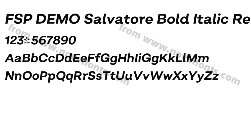FSP DEMO Salvatore Bold Italic RegularPreview