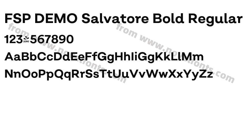 FSP DEMO Salvatore Bold RegularPreview