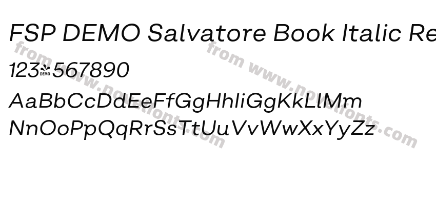 FSP DEMO Salvatore Book Italic RegularPreview