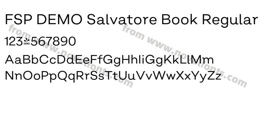 FSP DEMO Salvatore Book RegularPreview